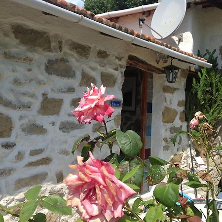 Villa D'Arte Mortola Superiore Habitación foto