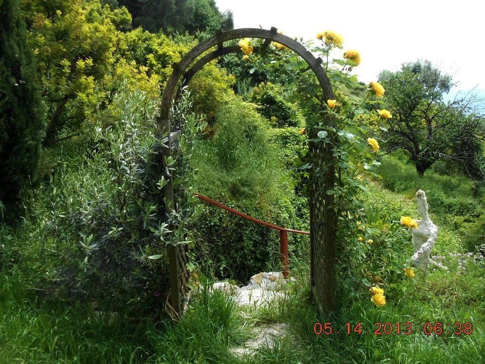 Villa D'Arte Mortola Superiore Exterior foto